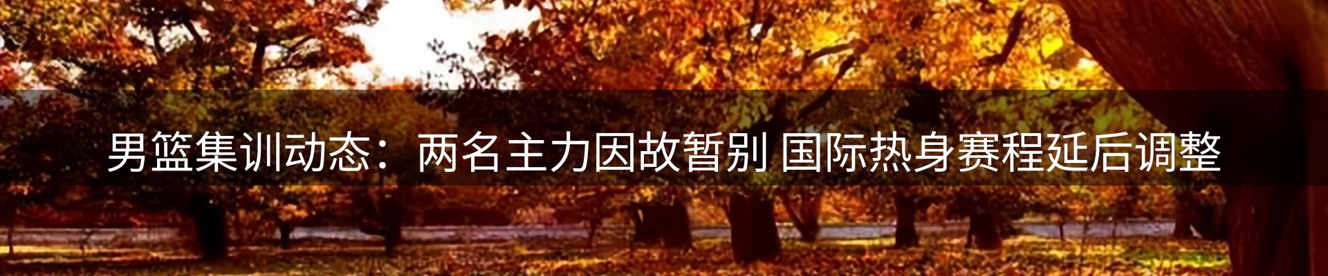 内页banner
